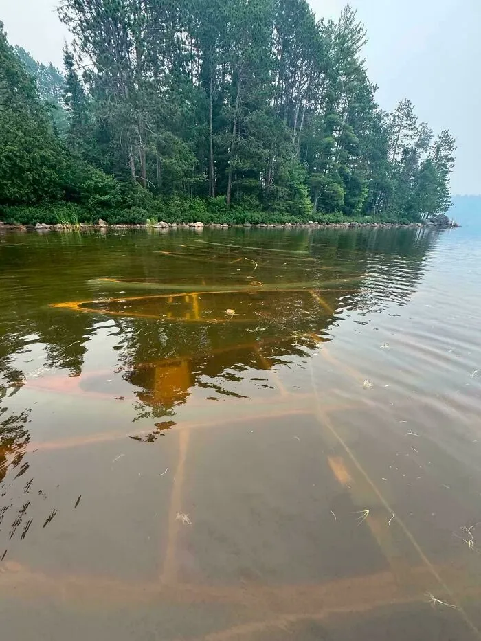 Submerged objects visible beneath the surface of a calm lake surrounded by trees.