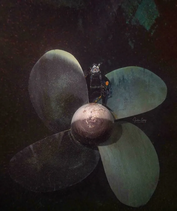 A scuba diver standing next to a massive ship propeller underwater, highlighting unnerving submerged objects.