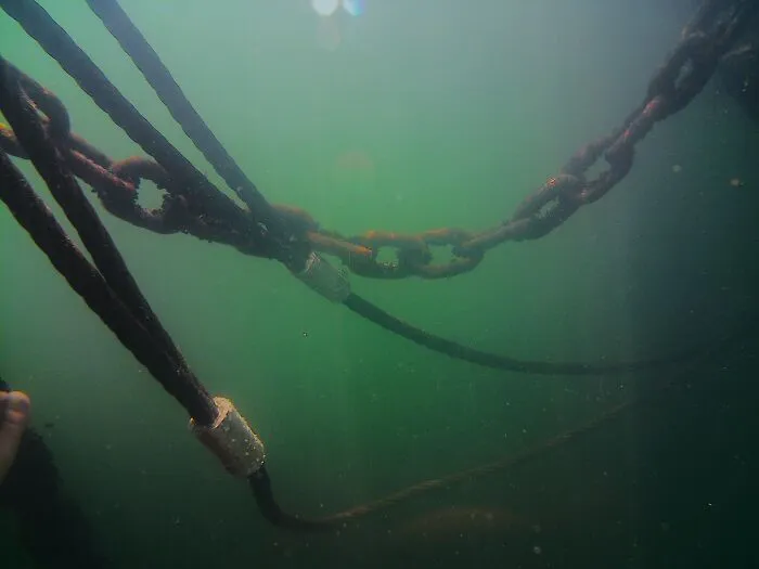 Large metal chains as submerged objects hanging in murky green water.
