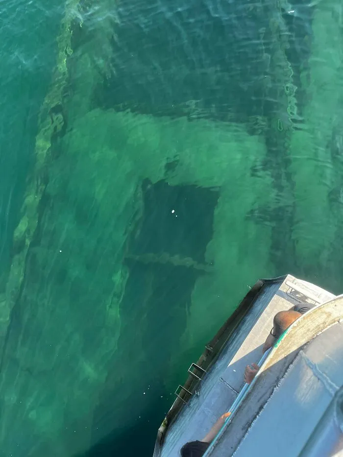 View from a boat looking down at a large submerged object visible beneath green water.