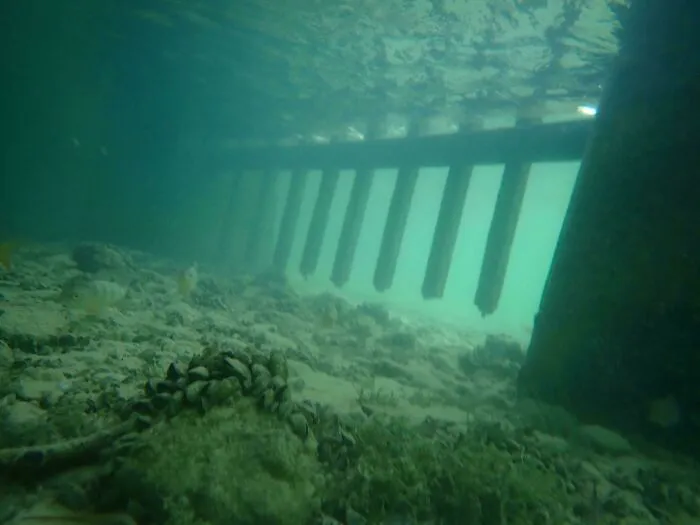 Submerged objects forming an underwater barrier structure near the lakebed.