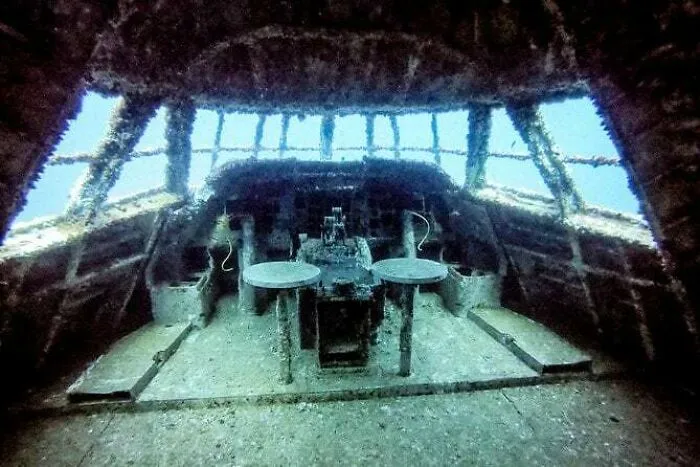 Interior view of a coral-covered cockpit of an airplane, among submerged objects underwater.