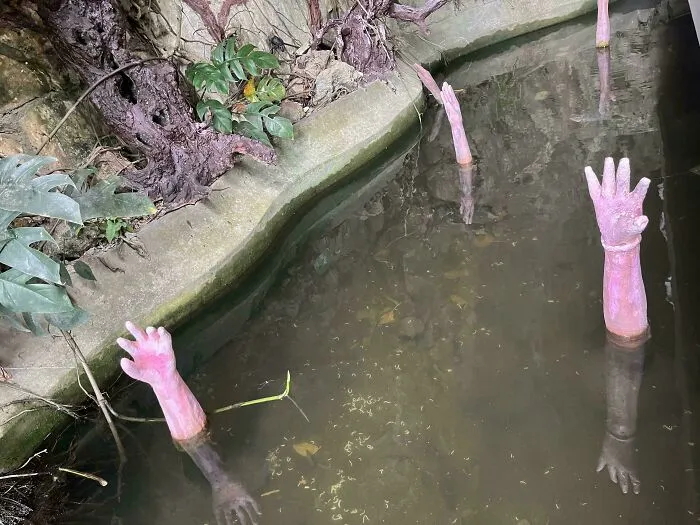 Pink mannequin arms reaching out of murky water, representing unnerving submerged objects.