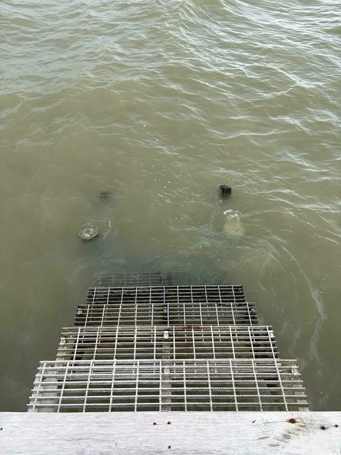 Submerged objects like metal stairs disappearing into murky water