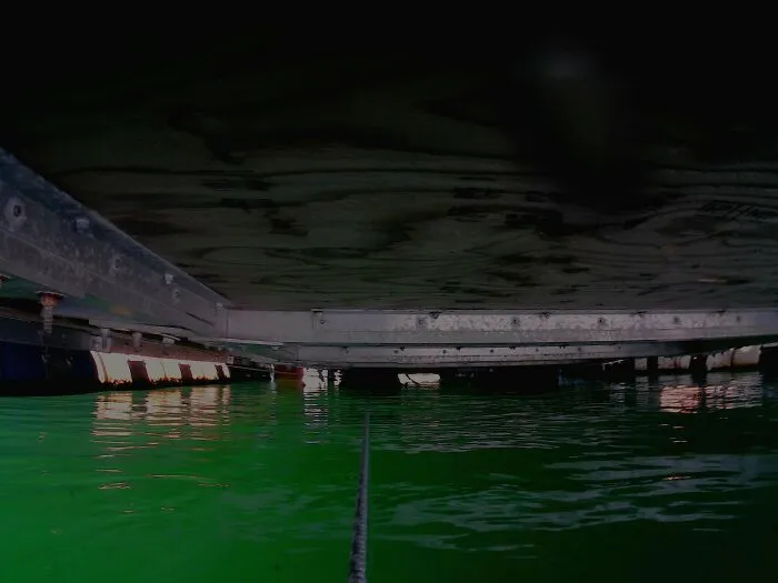 View of murky green water beneath a dock showing submerged objects