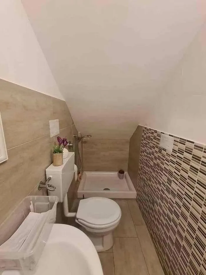 An awkwardly placed shower and toilet under a sloped ceiling demonstrating poor bathroom design and construction fails.