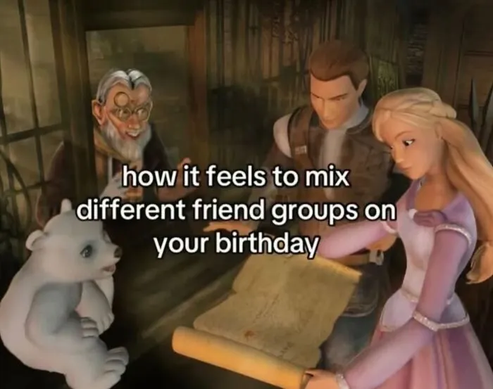 Hilarious meme with animated characters showing how it feels to mix different friend groups on your birthday.