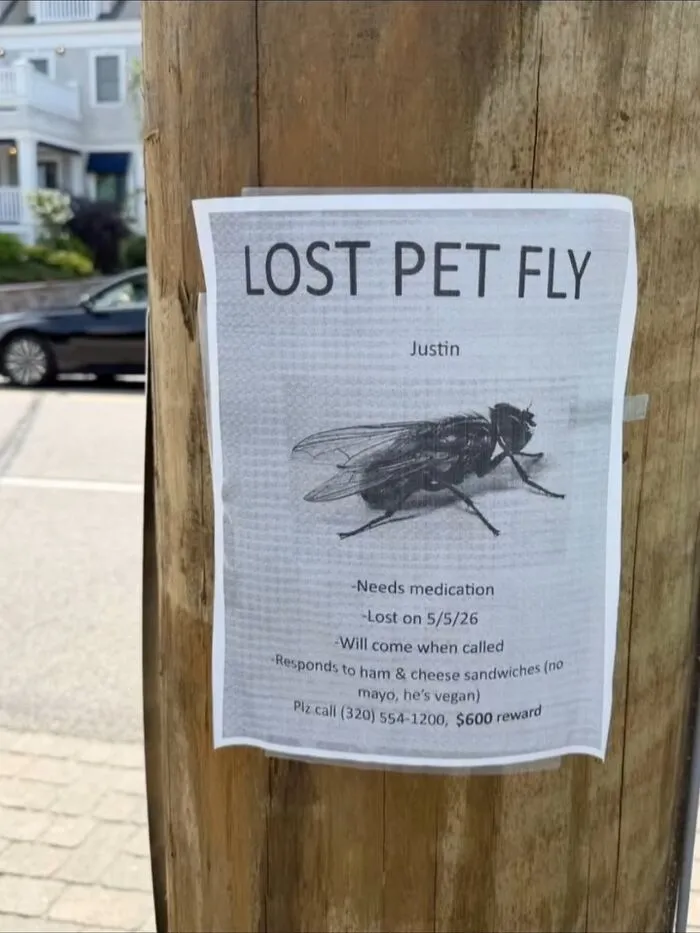 A funny lost pet fly flyer posted on a wooden pole, representing hilarious memes from real life.