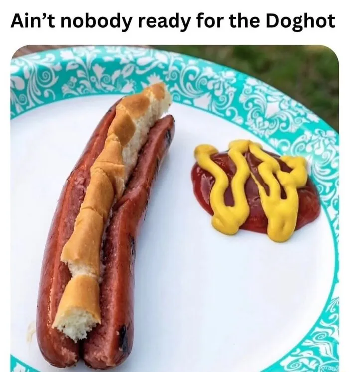 A funny photo of a hot dog made inside-out, perfect for hilarious memes.