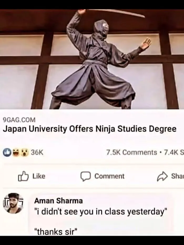Hilarious memes showing a ninja costume and funny comment about a ninja degree