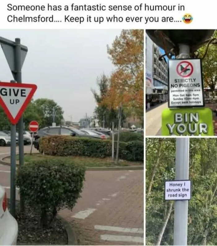 A collage showing funny street signs as part of hilarious ads and signs