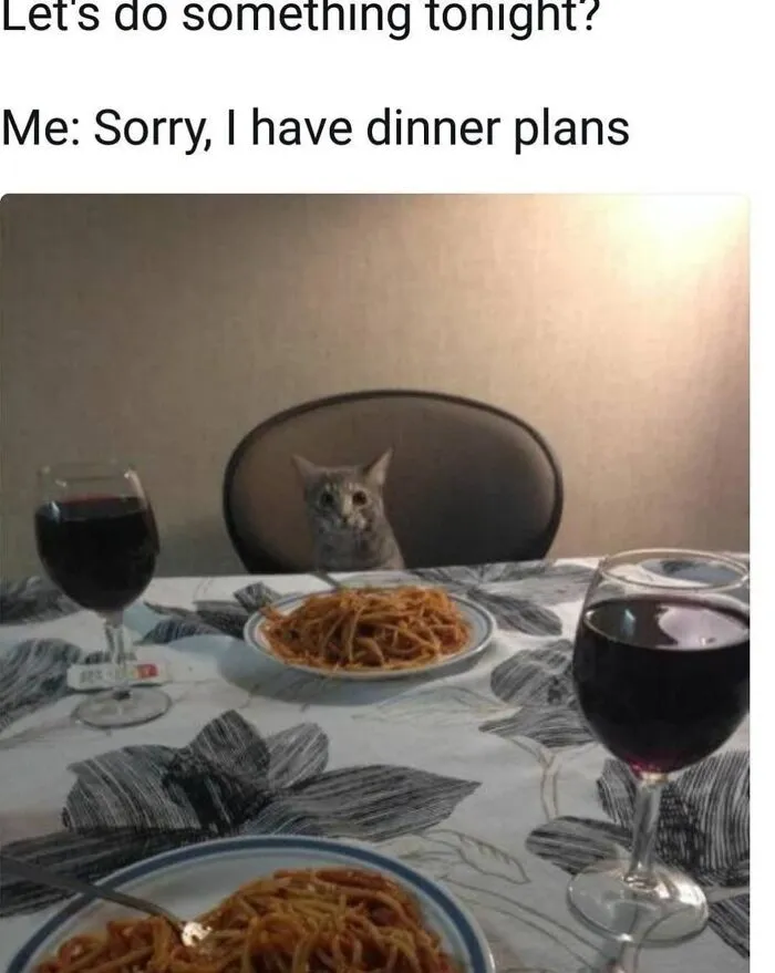 Funny memes showing a cat sitting at a dining table with spaghetti and wine glasses.