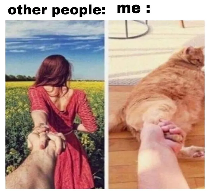 Funny memes comparing holding a partner's hand to holding a fat orange cat's paw.