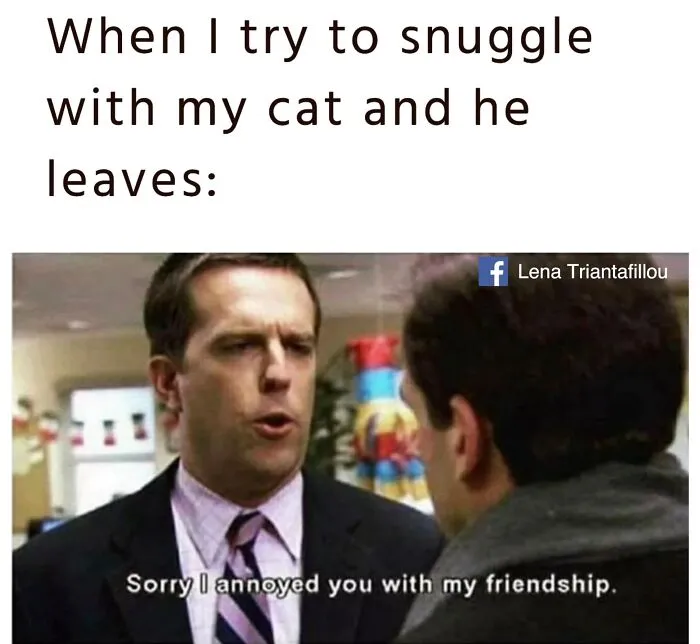 Funny memes featuring Andy Bernard from The Office reacting to a cat leaving a cuddle.