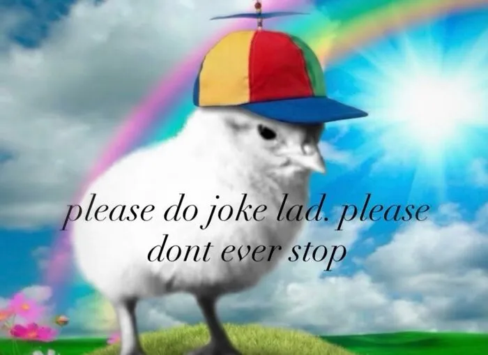 Funny weird animal memes image of a small chick wearing a propeller hat under a rainbow sky.