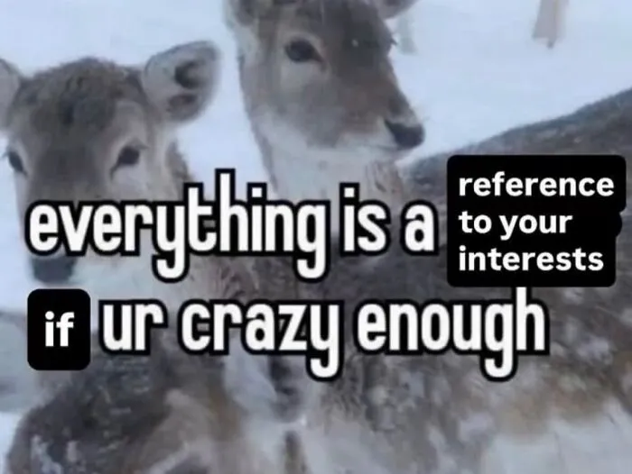 Funny weird animal memes featuring two deer standing together in the snow with humorous overlay text.