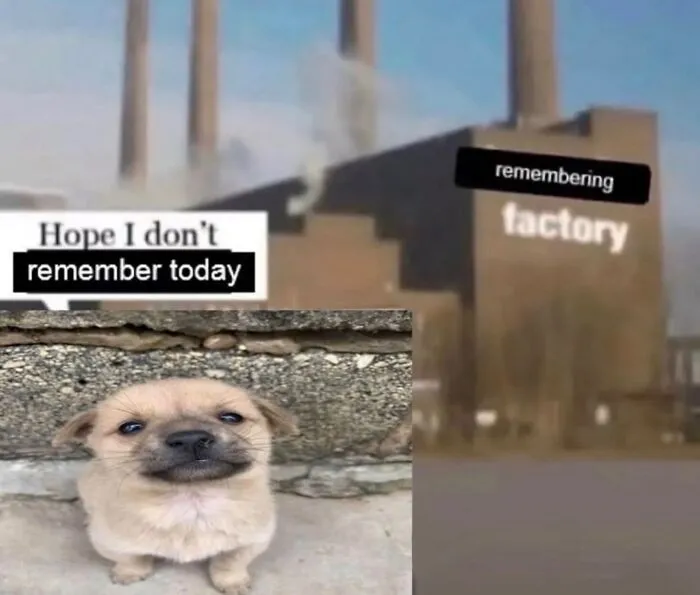 Funny weird animal meme of a small dog combined with a remembering factory background.