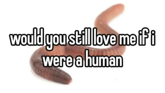 Funny weird animal meme of an earthworm with text asking if you would still love it as a human.