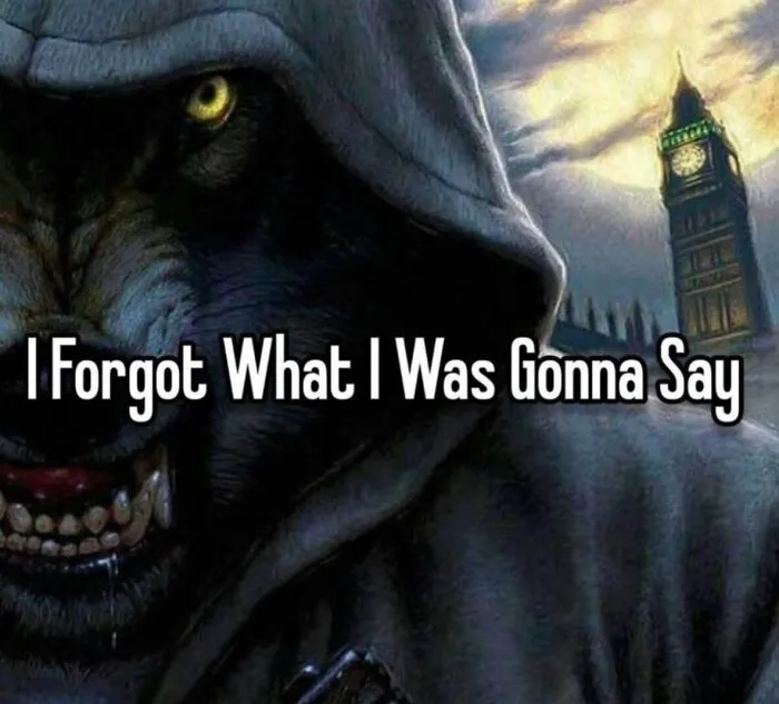 An aggressive hooded wolf character in funny weird animal memes overlayed with relatable text.