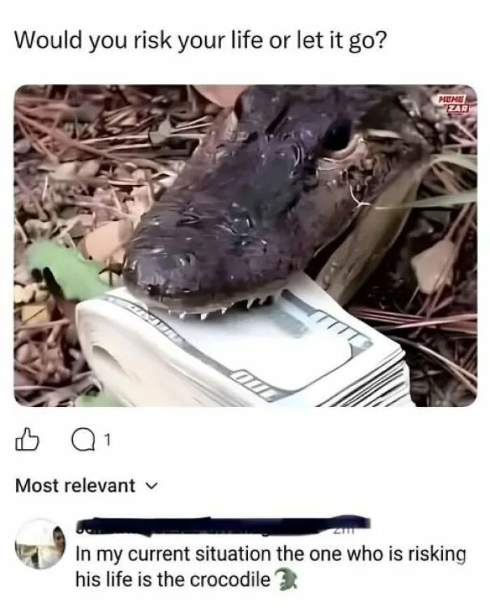 Strange and funny pics meme of an alligator biting a stack of cash with a funny comment.