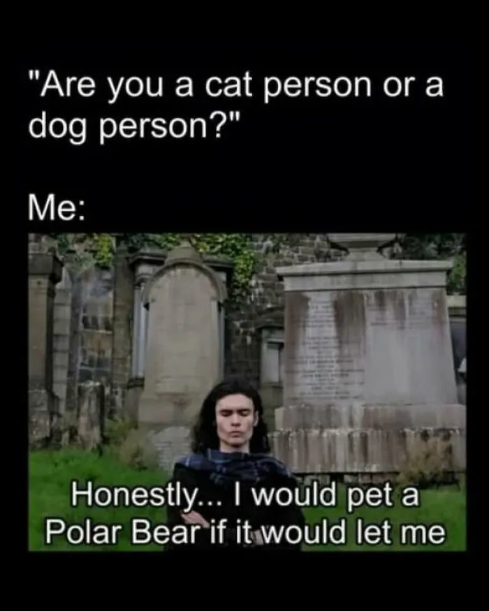 Strange pics meme asking about cat or dog person with a response about polar bears