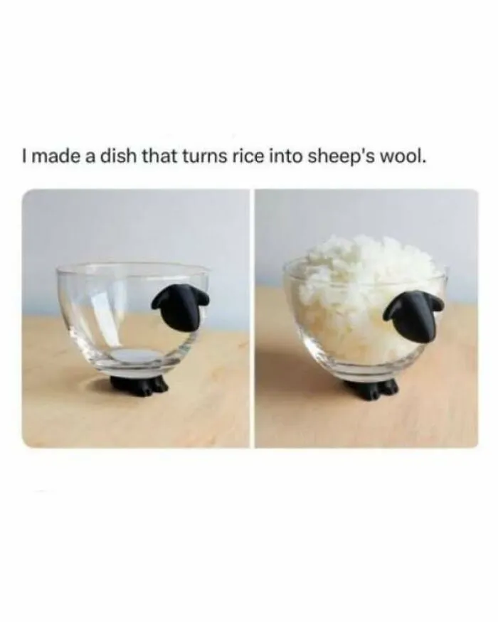 Funny pics of a sheep-shaped glass bowl empty and filled with white rice, resembling fluffy wool.