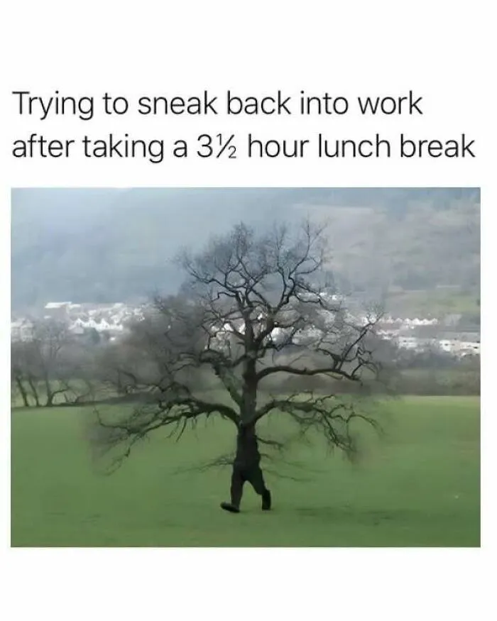 Strange pics of a person walking disguised as a bare tree
