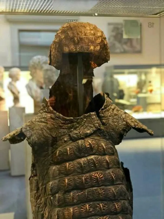 Historical crocodile leather armor and helmet in a museum exhibit