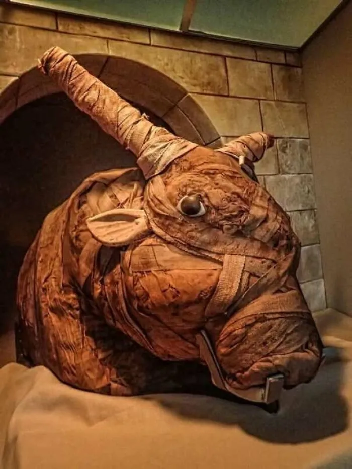 Ancient bull-shaped mummy exhibit showcasing historical artifact