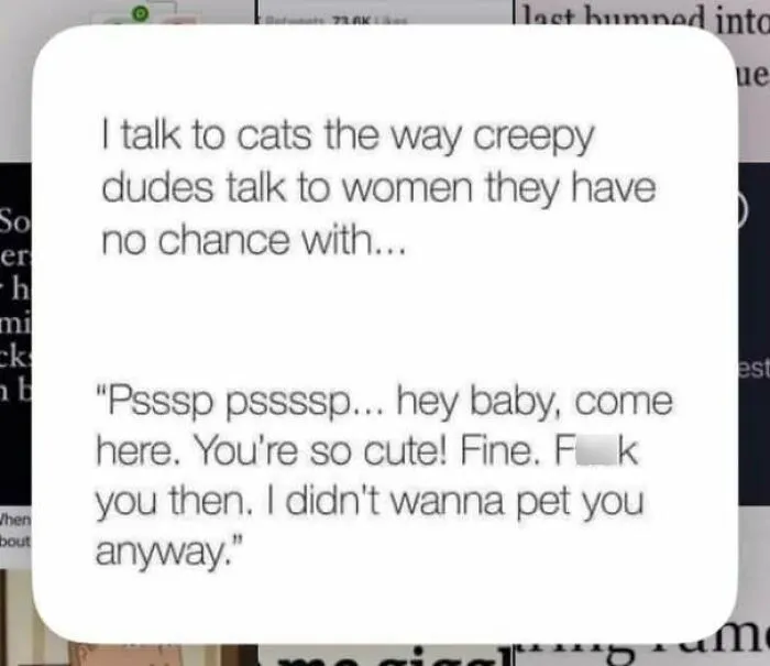 Text post comparing talking to cats to creepy dudes talking to women with no chance.