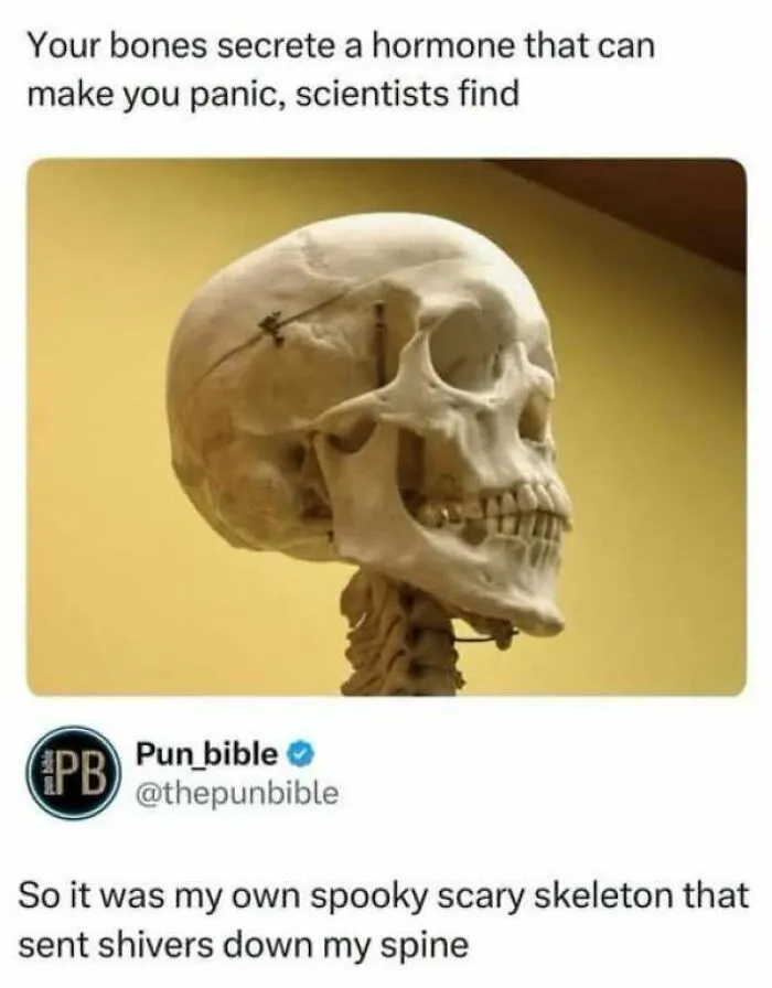 Scientific joke about bones secreting a hormone causing panic with image of skull.
