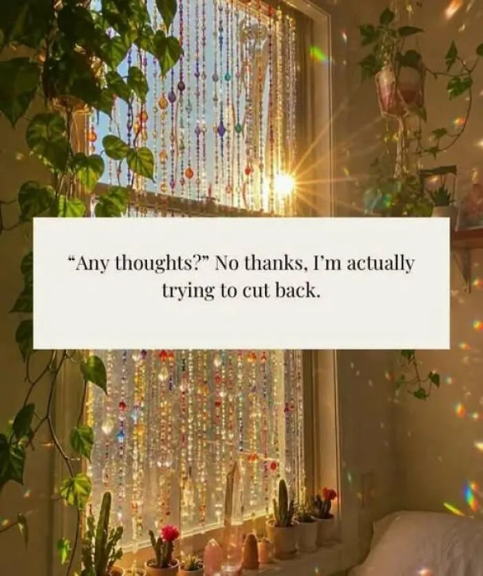 Funny internet post about cutting back on thoughts with sunlit beaded window decor