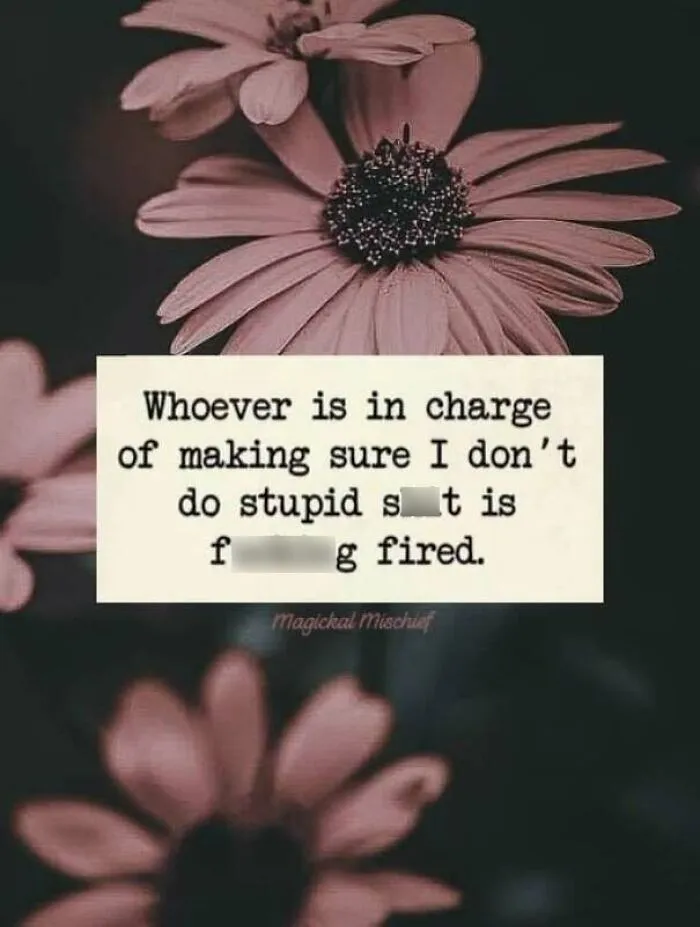 Humorous quote about doing stupid things on flower background internet post