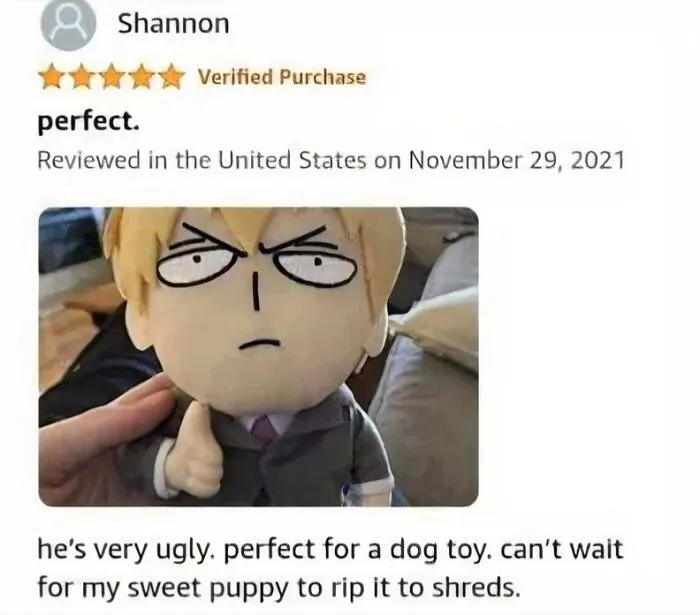 Funny verified purchase review calling doll perfect for a dog toy