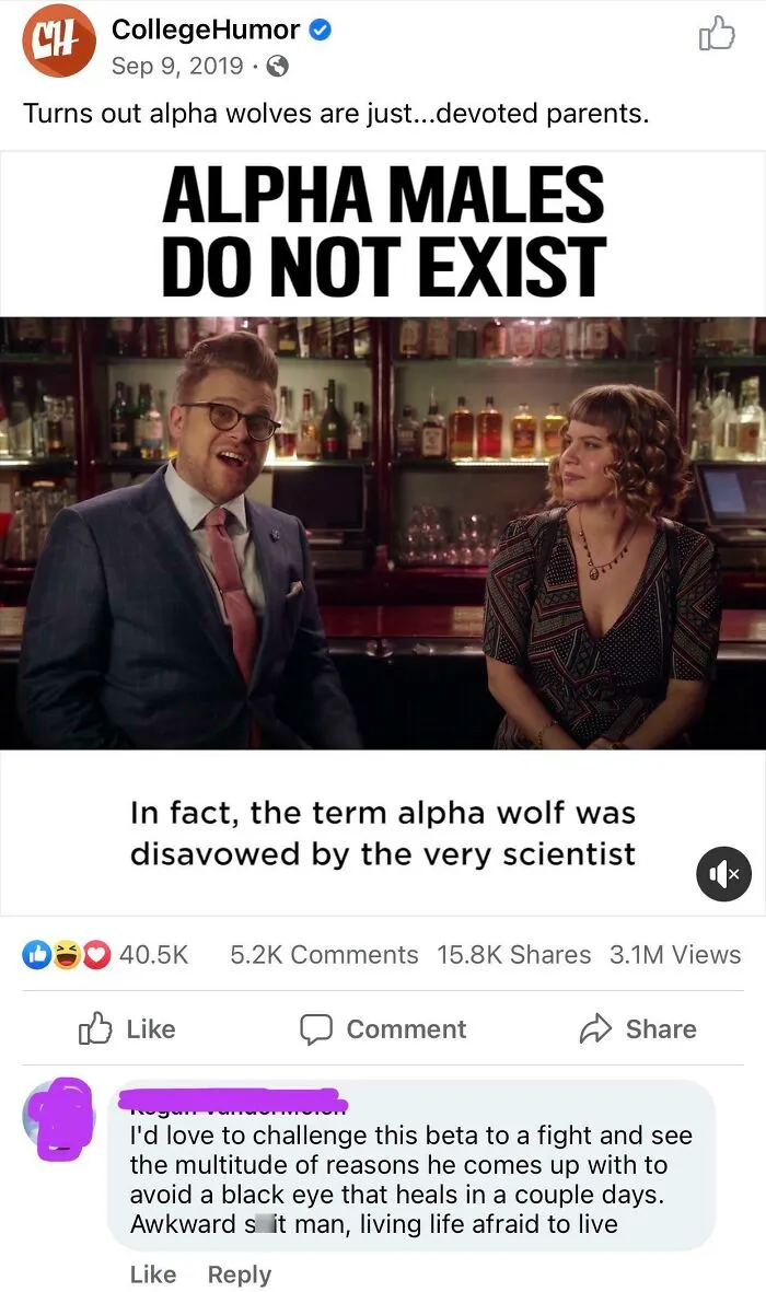Alpha males do not exist meme with bar scene talking about alpha wolves and awkward online tough guy comment