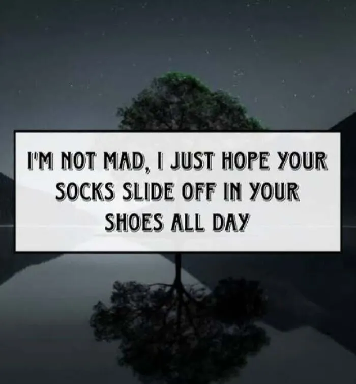 Feral internet post wishing socks slide off shoes all day with night tree background