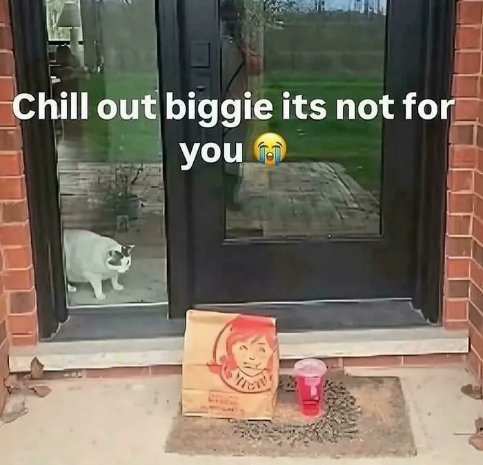 Cat inside door watching food delivery outside in cursed images