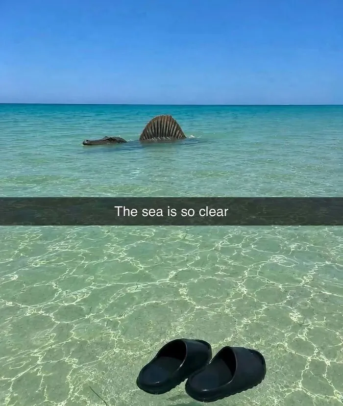 Hilarious pics of clear ocean water featuring a Spinosaurus swimming near the surface with a caption saying the sea is clear.