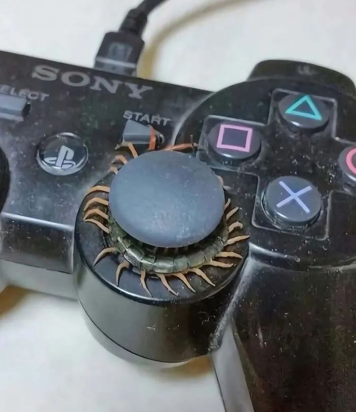 Hilarious pics of a centipede wrapped around the joystick of a video game controller.