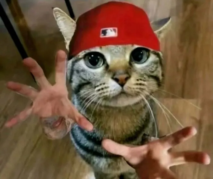 A hilarious pic of a cat wearing a red cap and edited with human hands.