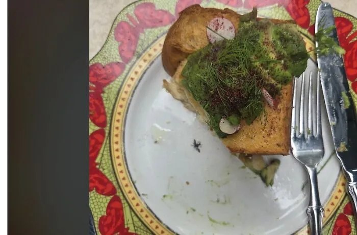 Sandwich with insect on plate showing ridiculous design choices in food presentation