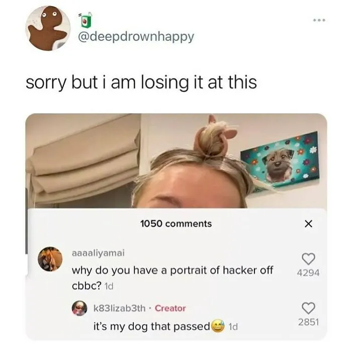 British dry humor with dog portrait mistaken for hacker from CBBC