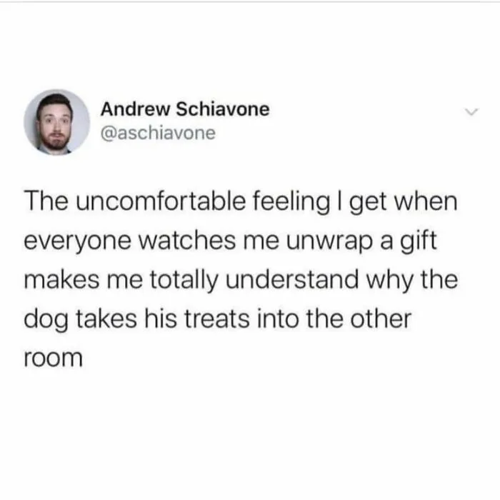 Tweet about feeling uncomfortable unwrapping gifts relates to dog behavior humor