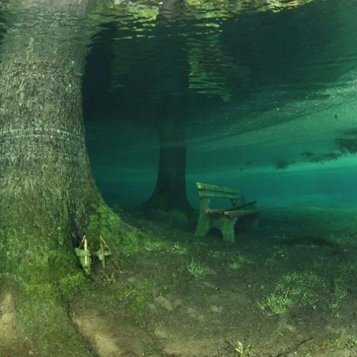 Underwater scene with submerged trees and an eerie park bench in deep water