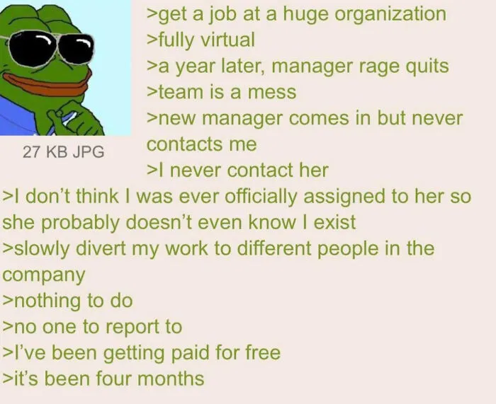 Life moments about virtual job experience with no manager contact and paid for free work