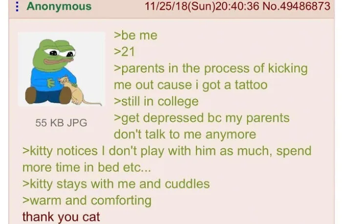 Comforting story of a college student finding solace in a cat