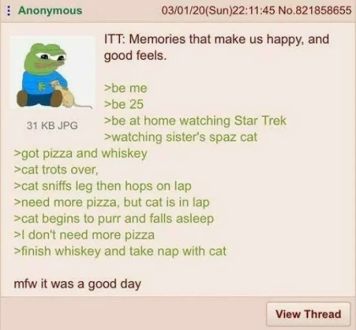 Wholesome life moment of relaxing with a purring cat while watching Star Trek at home