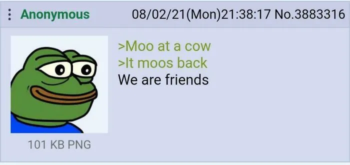 Wholesome life moments of friendship with a cow mooing back and forming a bond