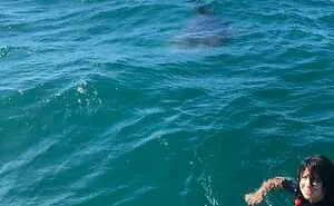 89 Terrifying Pictures That Prove The Ocean Is Scarier Than You Think