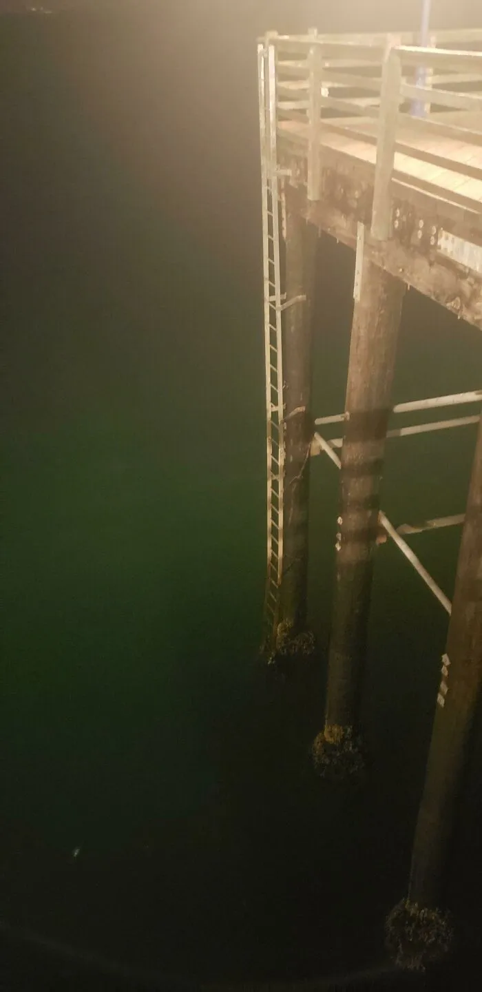 Night view of wooden pier with ladder above deep water
